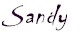 sandy.jpg (1763 bytes)
